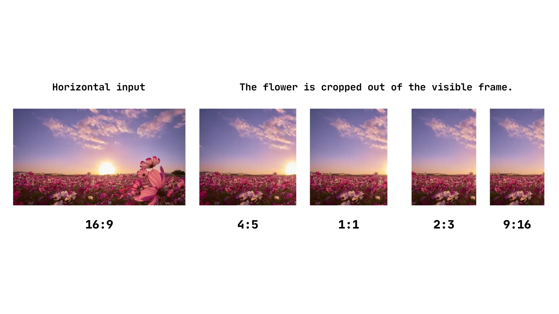 Bad crop example showing important content cut off